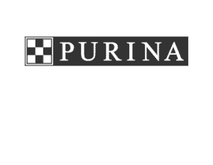Why Won’t My Dog Look At Me? – Long Live Your Dog